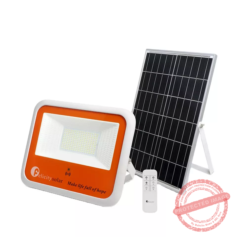 Felicity 100W 12V Floodlight with 35W Mono Solar Panel