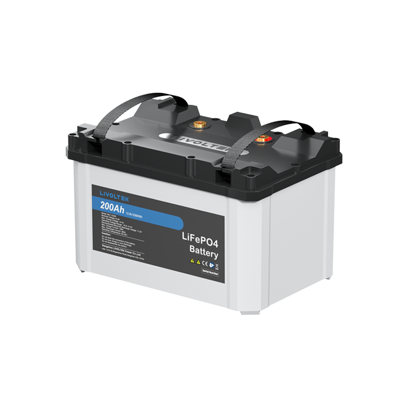 LIVOLTEK, LV Li-ion Battery, 2.4kWh, 24V, 100Ah, IP54