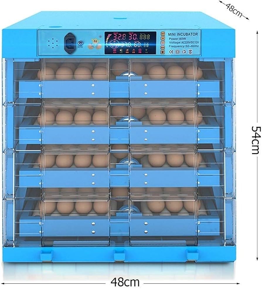 256 Eggs Incubator