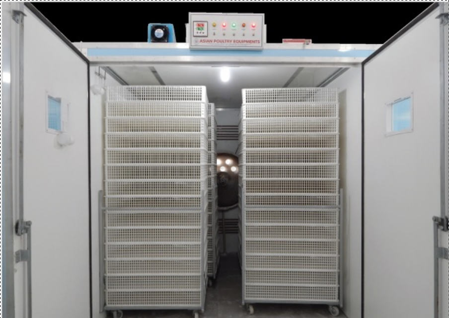 10000 Eggs Incubator