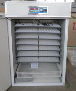 704 Eggs Incubator