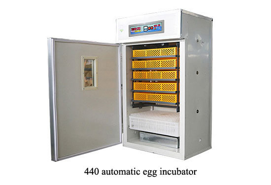 440 Eggs Incubator